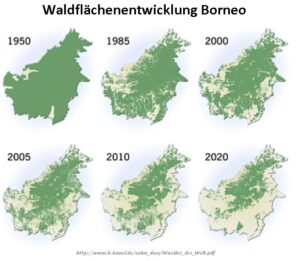 waldflächenentwicklung borneo
